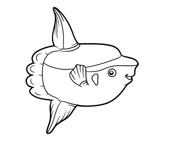 海洋太阳鱼简笔画