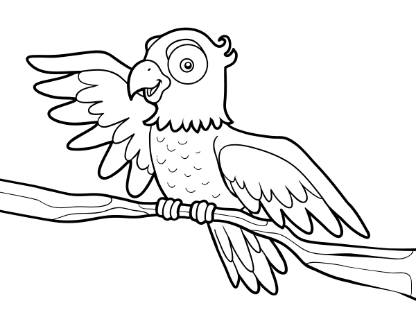 自由的鹦鹉简笔画