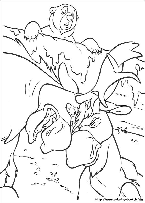 熊的传说简笔画图片