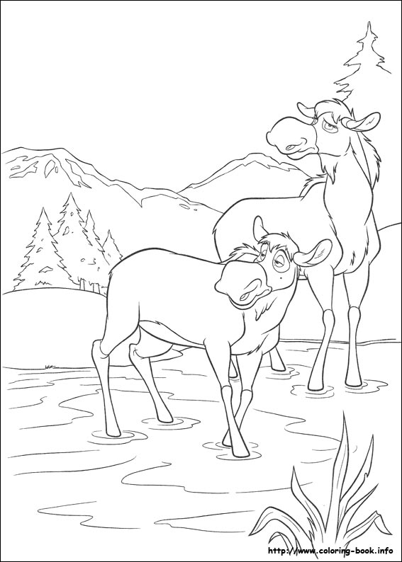 熊的传说2填色图片