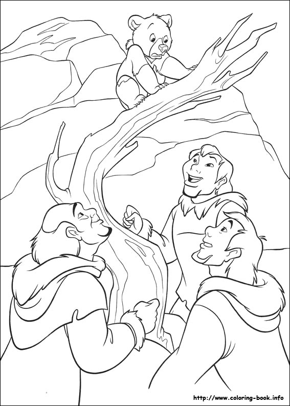 熊的传说2漫画图片