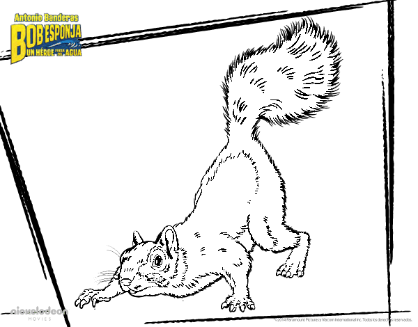 海绵宝宝中的小松鼠着色页-1