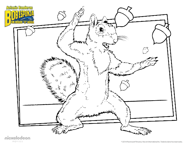 海绵宝宝中的小松鼠着色页-2