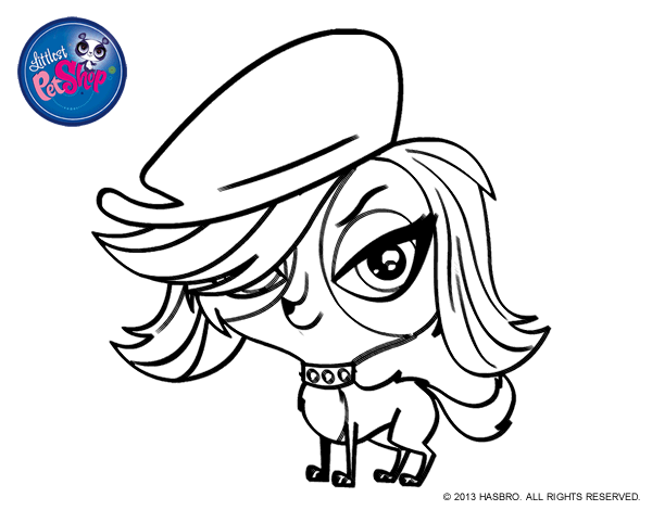 小小宠物店简笔画图片-5