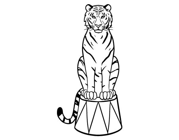 马戏团的老虎简笔画