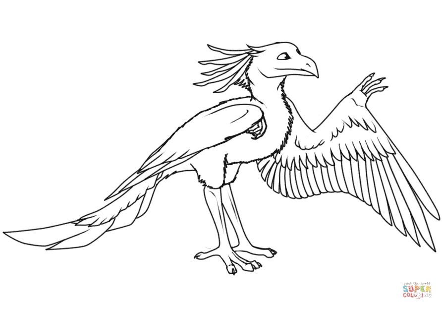 卡通始祖鸟简笔画