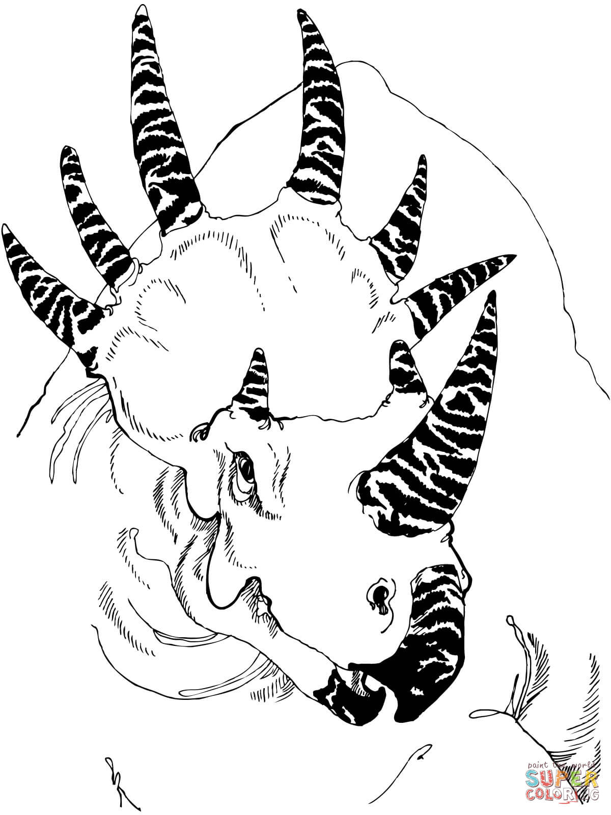 戟龙头部简笔画