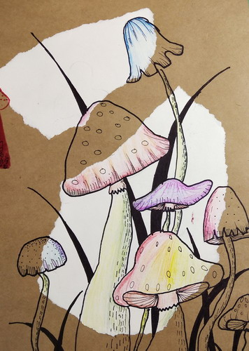 美丽的花画简单又漂亮