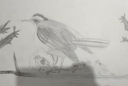 家手绘画简单好看