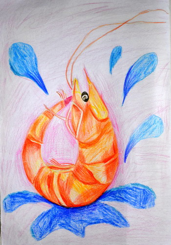 基围虾手绘图片