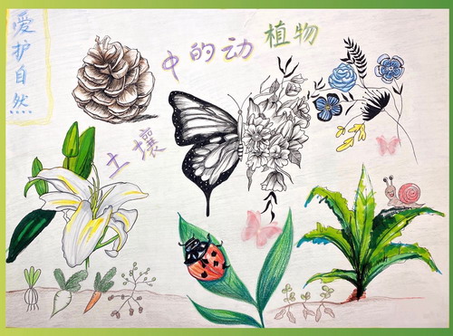 爱护自然儿童画图片