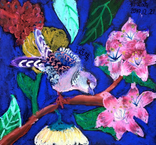 斑鸠绘画获奖作品