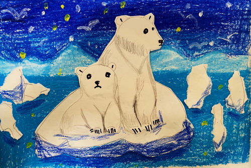 沉默的北极熊绘画获奖作品