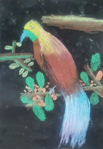 天堂鸟绘画作品