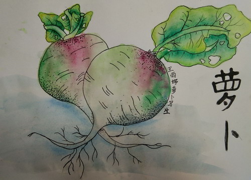 萝卜幼儿园绘画