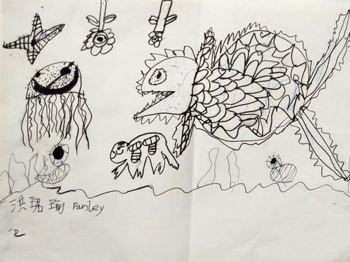 海底世界绘画获奖