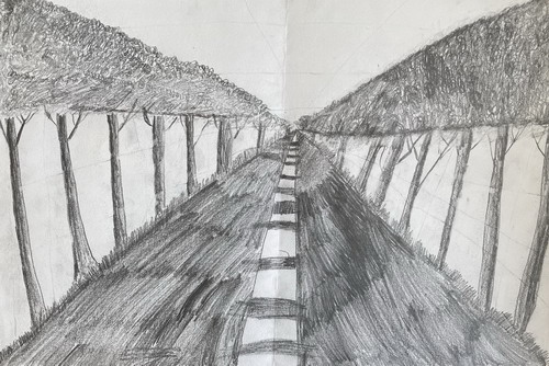 树荫小道创意画获奖