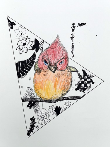 鸟语花香儿童画获奖