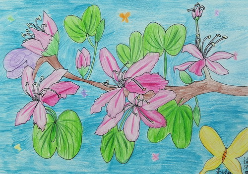 家乡美丽的紫荆花绘画获奖