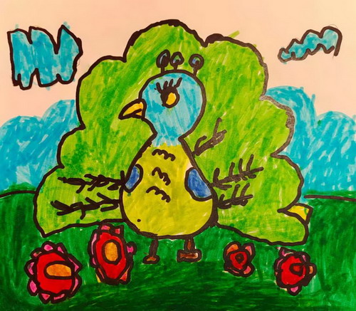 孔雀开屏手绘画一等奖