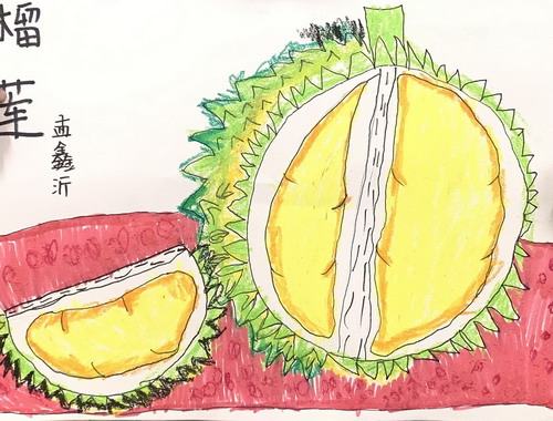 榴莲绘画一等奖