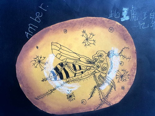 琥珀创意画简单好看