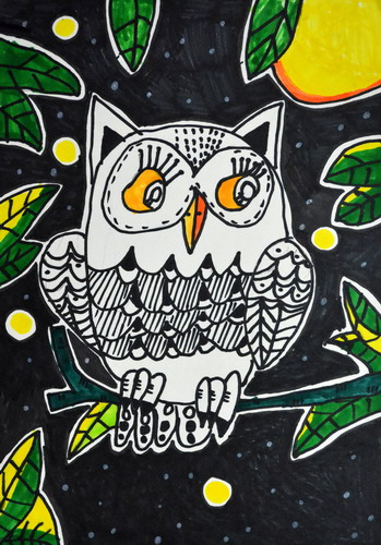夜晚的猫头鹰儿童画图片
