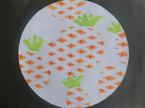 菠萝儿童绘画一等奖