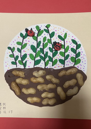 落花生绘画获奖