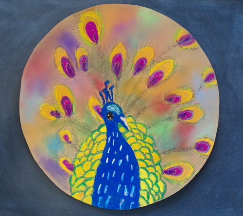 七彩孔雀手绘图片