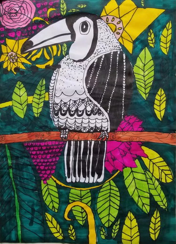 巨嘴鸟绘画获奖作品