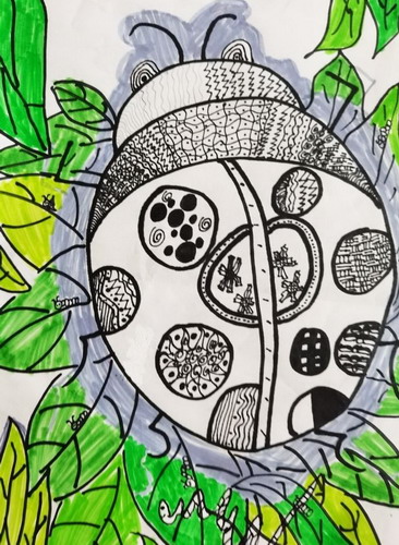 七星瓢虫画简单好看