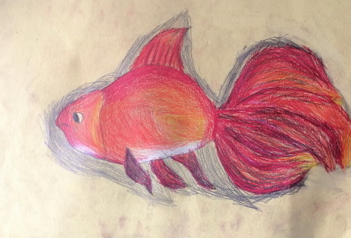 我爱小金鱼创意画简单好看