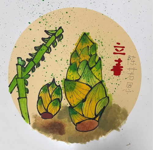 立春-春笋手绘画获奖