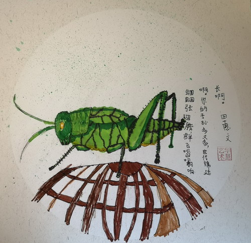 竹笼蝈蝈绘画