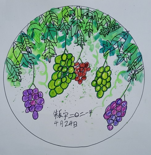 串串葡萄香儿童绘画获奖