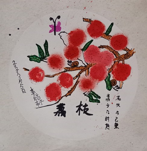 荔枝手绘图片