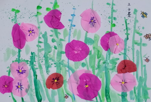 美丽的蜀葵花画画简单