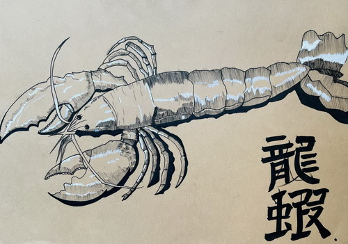 龙虾绘画图片