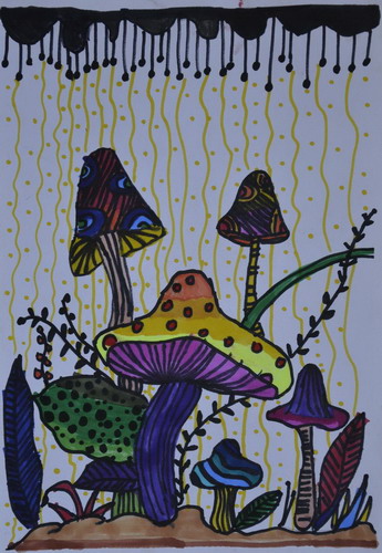蘑菇创意画获奖