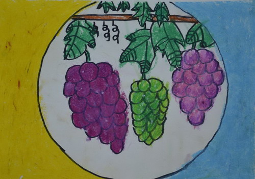 葡萄创意画获奖
