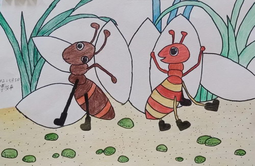 运食的蚂蚁手绘画获奖