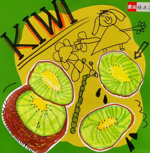 猕猴桃写生画简单又漂亮