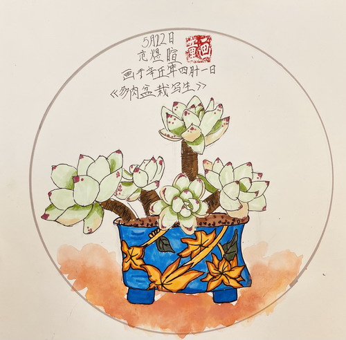 多肉写生绘画漂亮