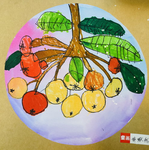 枇杷写生儿童绘画获奖