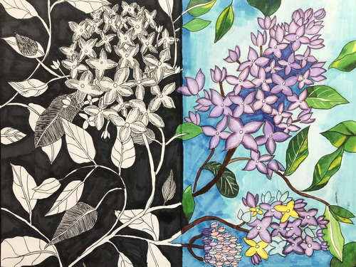 植物插画绘画获奖作品