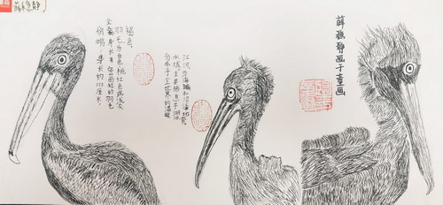 鹈鹕儿童绘画获奖