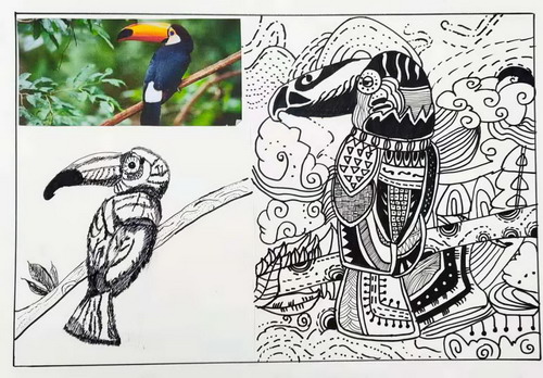 线描巨嘴鸟儿童画一等奖