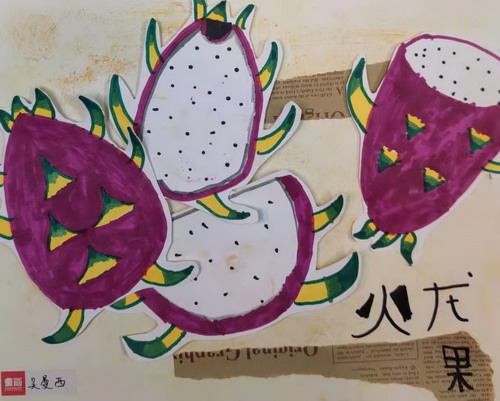 火龙果手绘画
