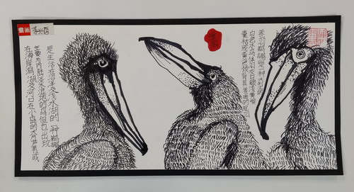 鹈鹕创意画获奖